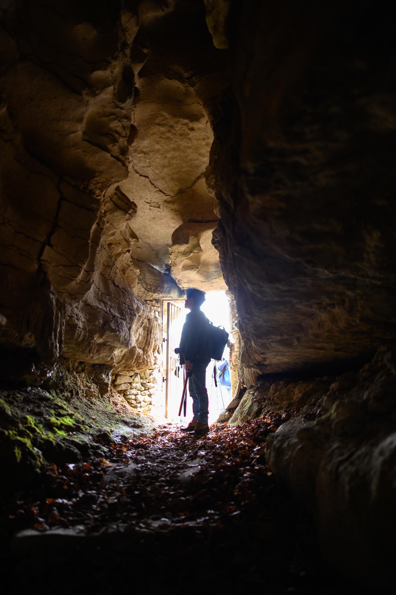 Student photographers take photos at Carter Caves